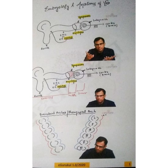 Ent Colored Notes By E Gurukul