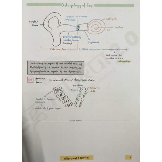 Ent 2 0 Colored Notes By Dr Sanjay Agarwal Egurukul