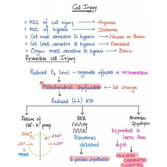 Pathology Handwritten Notes 2021 for NEET PG by Dr. P Sharma