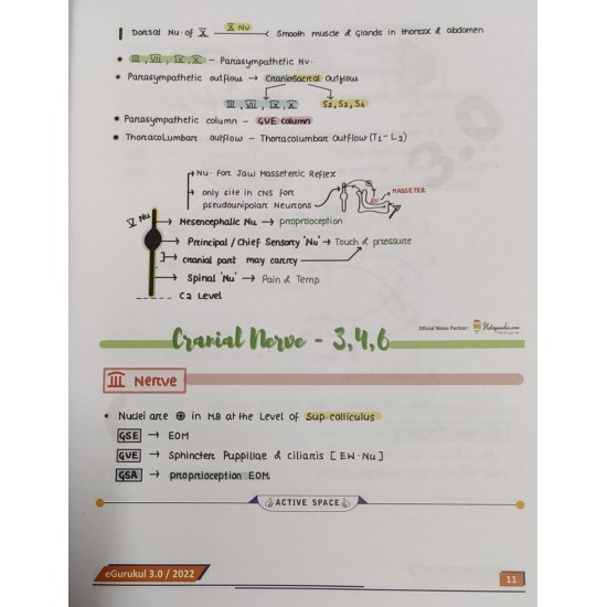 Anatomy E Gurukul Notes 3 0 By Dbmci