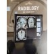 Radiology E gurukul 3.0 Notes by DBMCI