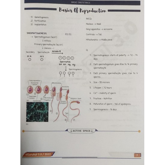 Obstetrics and Gynaecology E gurukul 3.0 Notes by DBMCI 