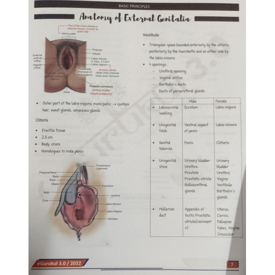 Obstetrics and Gynaecology E gurukul 3.0 Notes by DBMCI 