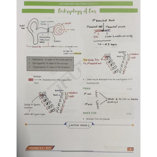 ENT E gurukul 3.0 Colored Notes by DBMCI 