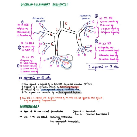 PULMONOLOGY Notes 2020 by Dr. Dilip MMS