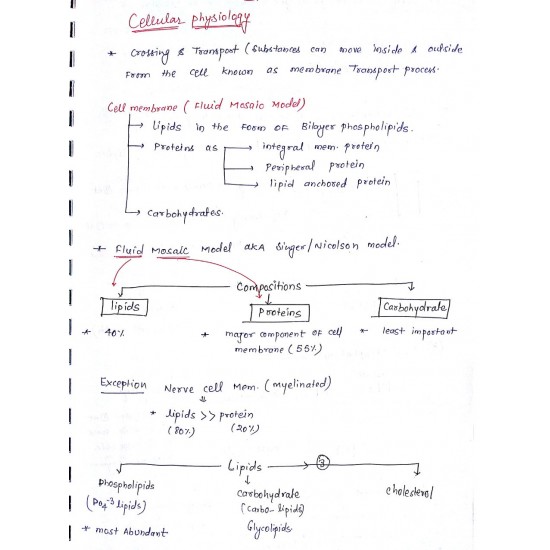 Physiology Complete Handwritten Classroom Notes 2019 by Marroww