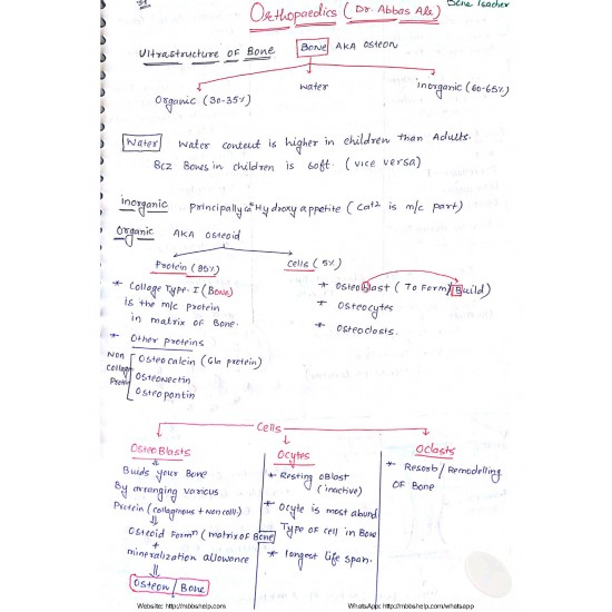 Orthopedics marroww classroom notes 2019 