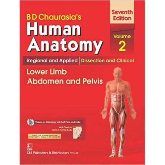 Human Anatomy Lower Limb Abdomen and Pelvis 7th Edition Volume 2 by Bd Chaurasia