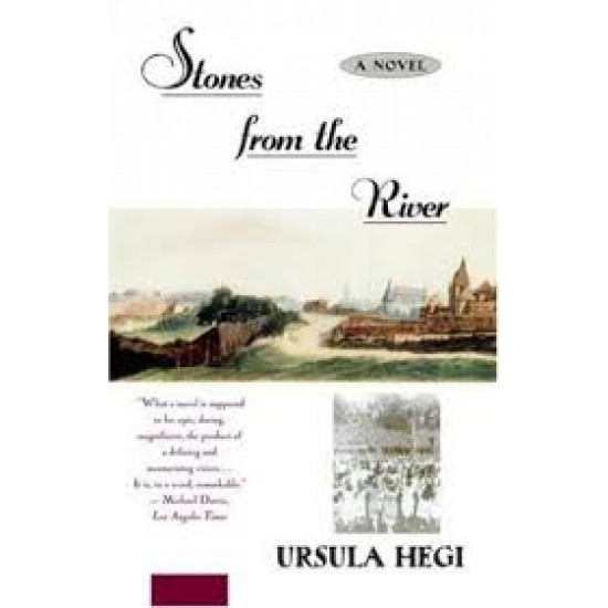 Stones from the River  (English, Paperback, Ursula Hegi)